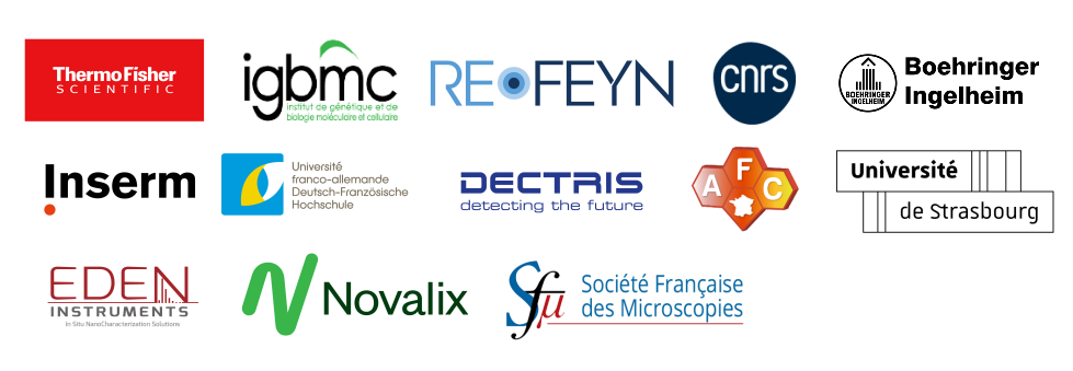 logo pool